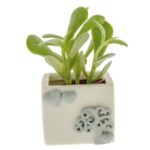 Vasi portapianta, senza pianta, con albero della vita e cuoricini in porcellana