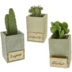 Vasi in terracotta con  cassetto in legno